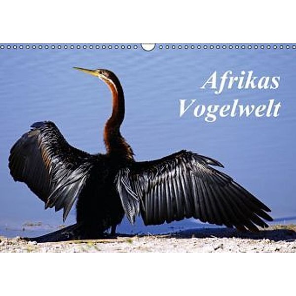 Afrikas Vogelwelt (Wandkalender 2015 DIN A3 quer), Wibke Woyke