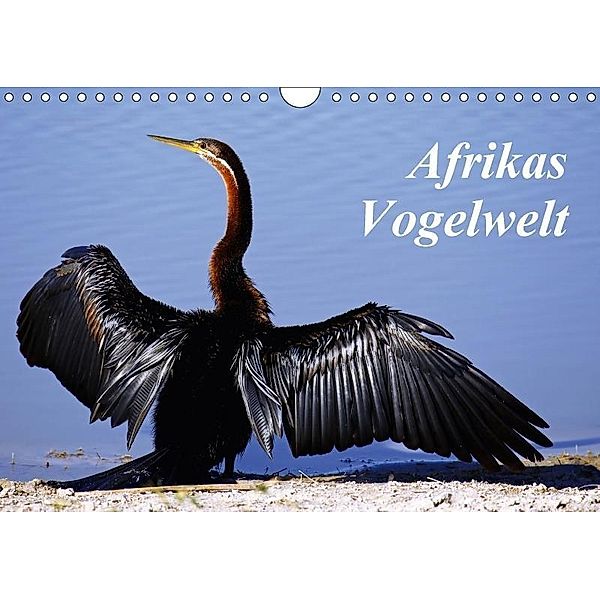 Afrikas Vogelwelt (Wandkalender 2017 DIN A4 quer), Wibke Woyke
