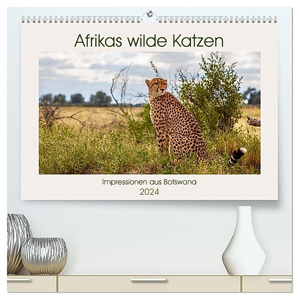 Afrikas wilde Katzen (hochwertiger Premium Wandkalender 2024 DIN A2 quer), Kunstdruck in Hochglanz, Ursula Di Chito