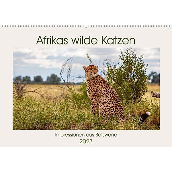 Afrikas wilde Katzen (Wandkalender 2023 DIN A2 quer), Ursula Di Chito