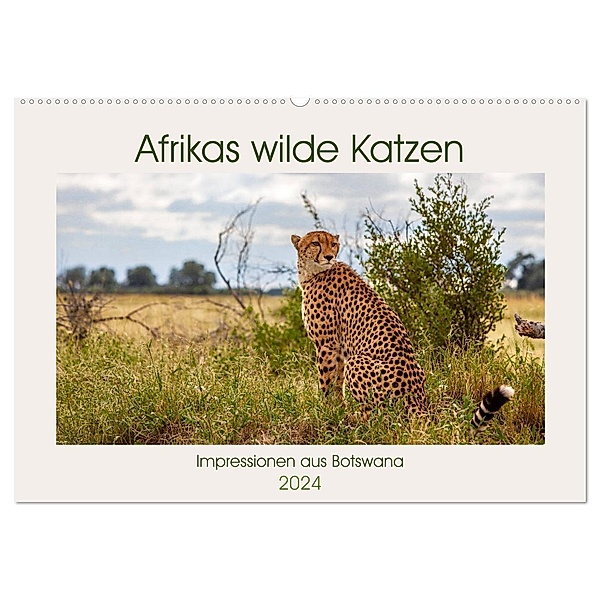 Afrikas wilde Katzen (Wandkalender 2024 DIN A2 quer), CALVENDO Monatskalender, Ursula Di Chito