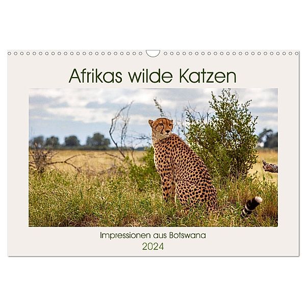 Afrikas wilde Katzen (Wandkalender 2024 DIN A3 quer), CALVENDO Monatskalender, Ursula Di Chito