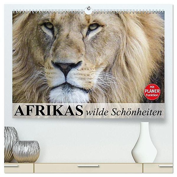 Afrikas wilde Schönheiten (hochwertiger Premium Wandkalender 2024 DIN A2 quer), Kunstdruck in Hochglanz, Elisabeth Stanzer