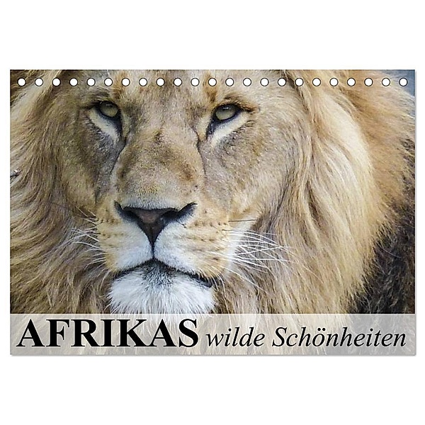 Afrikas wilde Schönheiten (Tischkalender 2024 DIN A5 quer), CALVENDO Monatskalender, Elisabeth Stanzer