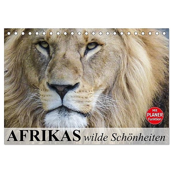 Afrikas wilde Schönheiten (Tischkalender 2025 DIN A5 quer), CALVENDO Monatskalender, Calvendo, Elisabeth Stanzer