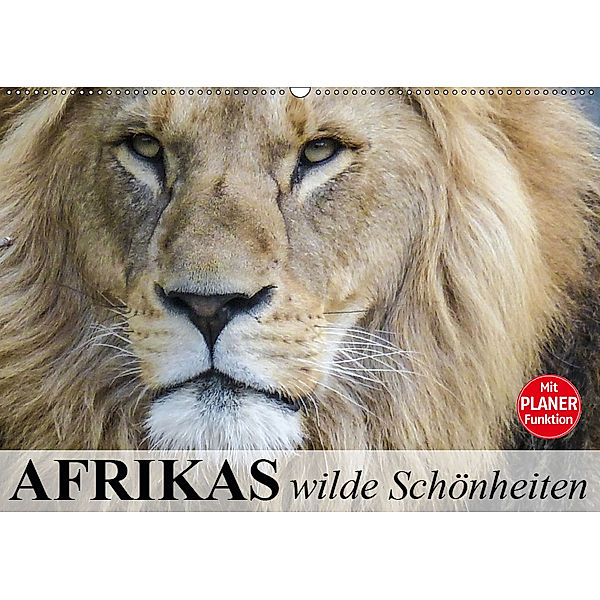 Afrikas wilde Schönheiten (Wandkalender 2019 DIN A2 quer), Elisabeth Stanzer