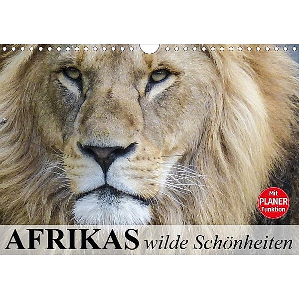 Afrikas wilde Schönheiten (Wandkalender 2020 DIN A4 quer), Elisabeth Stanzer