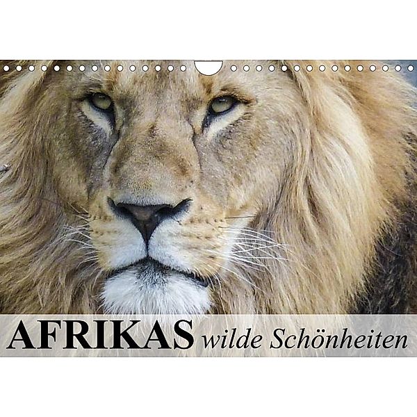 Afrikas wilde Schönheiten (Wandkalender 2023 DIN A4 quer), Elisabeth Stanzer