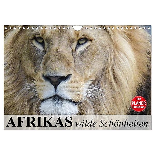 Afrikas wilde Schönheiten (Wandkalender 2024 DIN A4 quer), CALVENDO Monatskalender, Elisabeth Stanzer