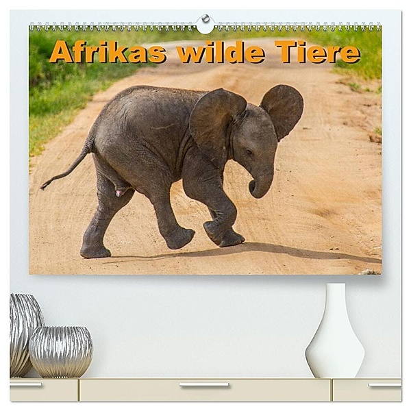 Afrikas wilde Tiere (hochwertiger Premium Wandkalender 2024 DIN A2 quer), Kunstdruck in Hochglanz, Frank Struckmann /FSTWildlife