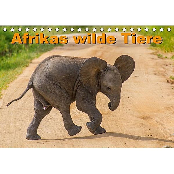 Afrikas wilde Tiere (Tischkalender 2020 DIN A5 quer), Frank Struckmann /FSTWildlife