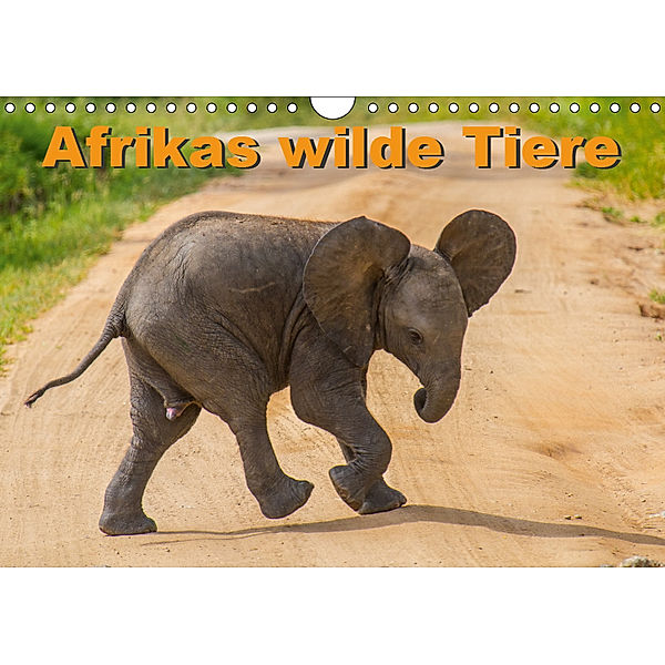 Afrikas wilde Tiere (Wandkalender 2019 DIN A4 quer), Frank Struckmann /FSTWildlife