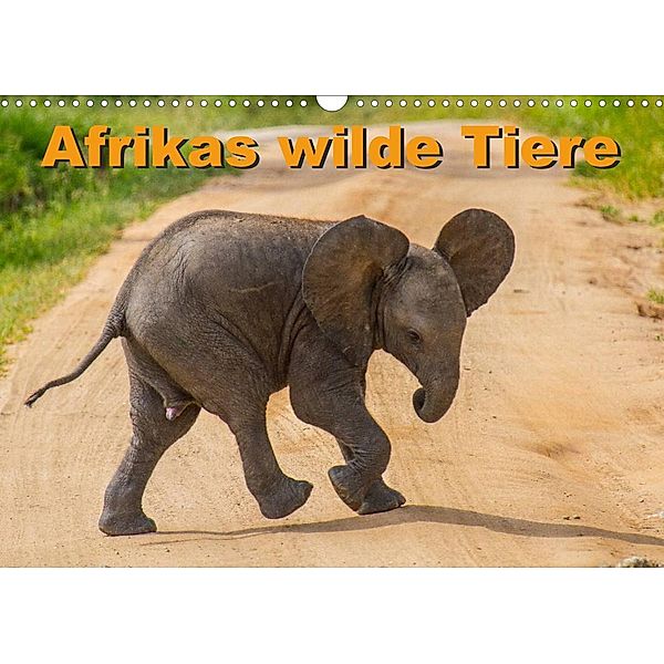 Afrikas wilde Tiere (Wandkalender 2023 DIN A3 quer), Frank Struckmann /FSTWildlife