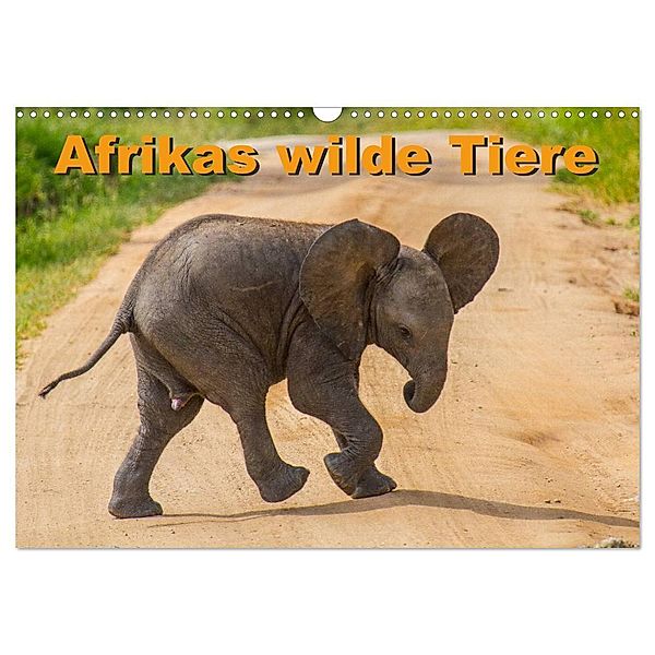 Afrikas wilde Tiere (Wandkalender 2024 DIN A3 quer), CALVENDO Monatskalender, Frank Struckmann /FSTWildlife