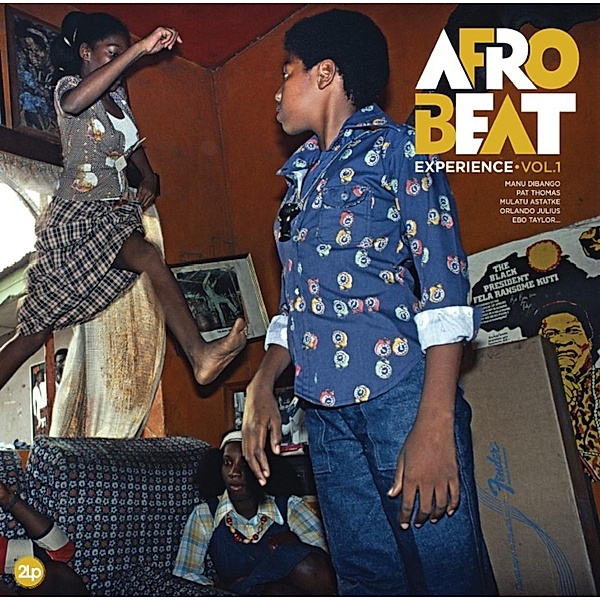Afrobeat - Experience 01, Diverse Interpreten