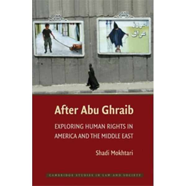 After Abu Ghraib, Shadi Mokhtari