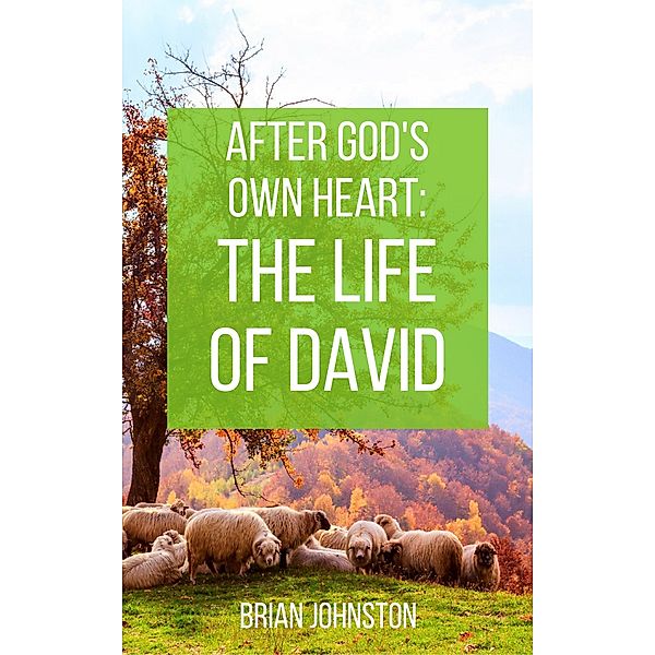 After God's Own Heart : The Life of David, Brian Johnston