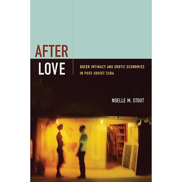 After Love, Stout Noelle M. Stout