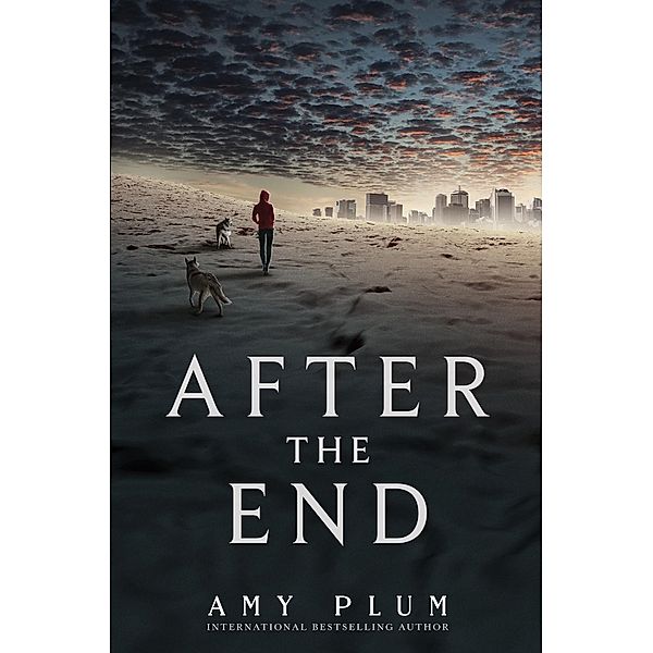 After the End / After the End Bd.1, Amy Plum