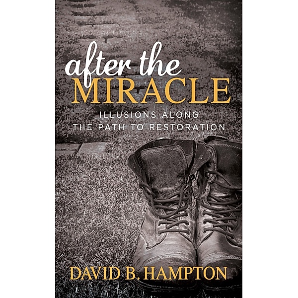 After the Miracle / Morgan James Faith, David B. Hampton