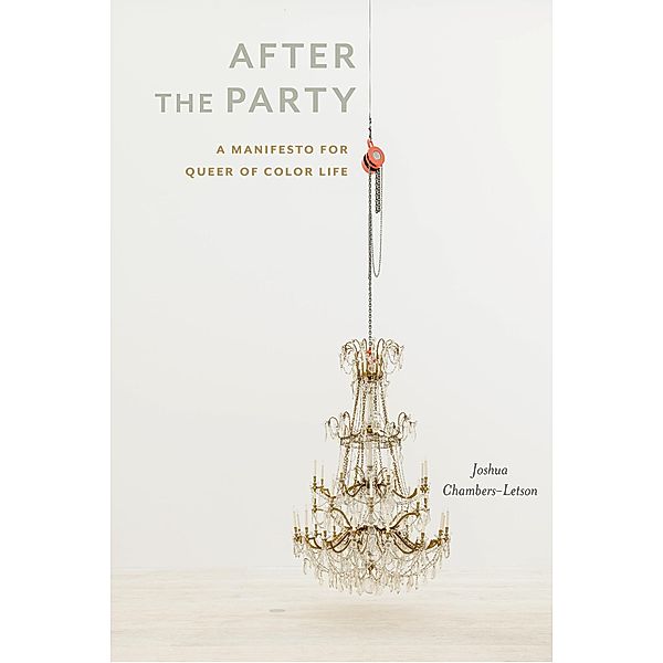 After the Party / Sexual Cultures Bd.4, Joshua Chambers-Letson