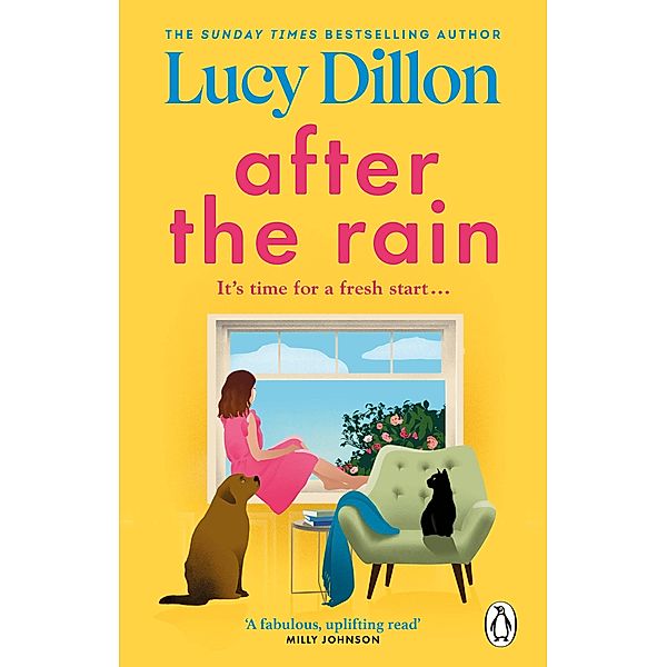 After the Rain, Lucy Dillon