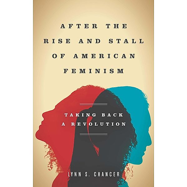 After the Rise and Stall of American Feminism, Lynn S. Chancer