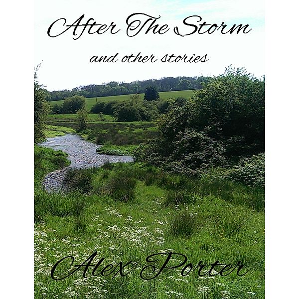 After the Storm and Other Stories, Alex Porter