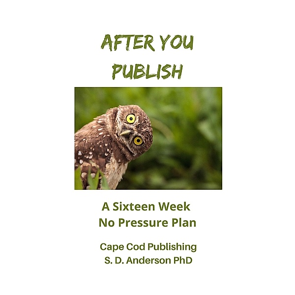 After You Publish, S. D. Anderson