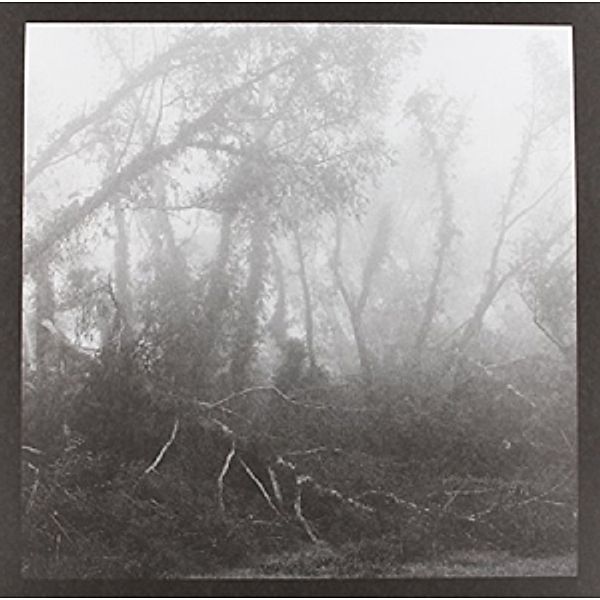 Against Nature (Vinyl), Eidetic Seeing