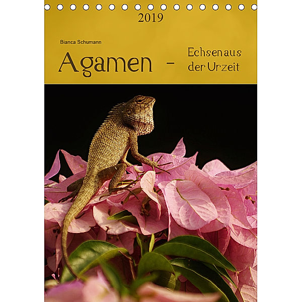 Agamen - Echsen aus der Urzeit (Tischkalender 2019 DIN A5 hoch), Bianca Schumann