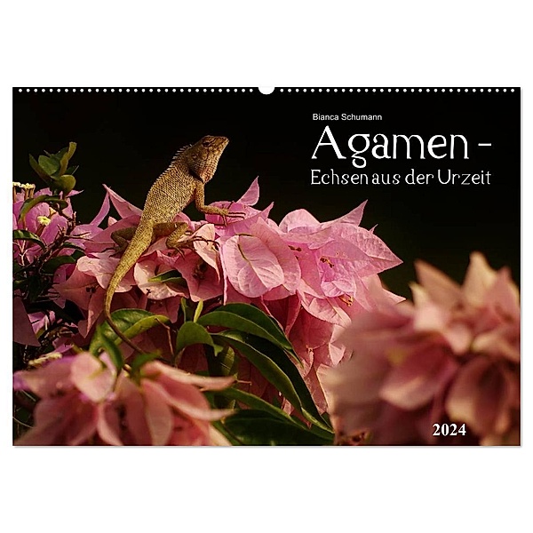 Agamen - Echsen aus der Urzeit (Wandkalender 2024 DIN A2 quer), CALVENDO Monatskalender, Bianca Schumann