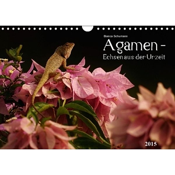 Agamen - Echsen aus der UrzeitCH-Version (Wandkalender 2015 DIN A4 quer), Bianca Schumann