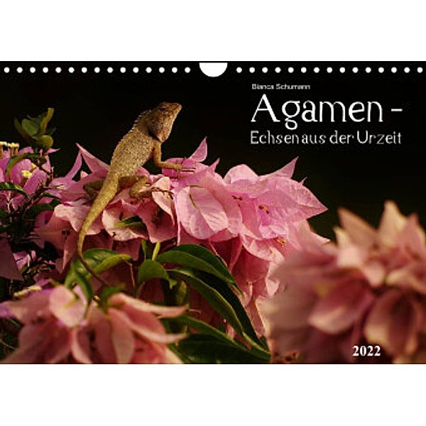 Agamen - Echsen aus der UrzeitCH-Version  (Wandkalender 2022 DIN A4 quer), Bianca Schumann