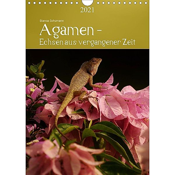 Agamen - Echsen aus vergangener ZeitAT-Version (Wandkalender 2021 DIN A4 hoch), Bianca Schumann