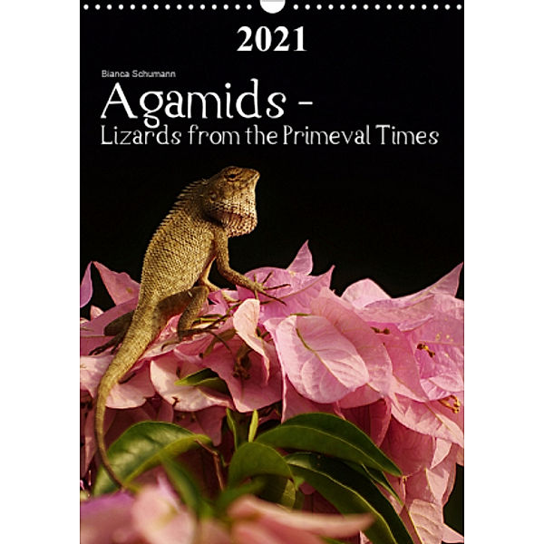 Agamids - Lizards from the Primeval Times (Wall Calendar 2021 DIN A3 Portrait), Bianca Schumann