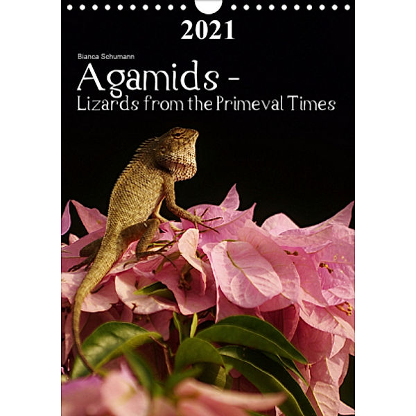Agamids - Lizards from the Primeval Times (Wall Calendar 2021 DIN A4 Portrait), Bianca Schumann