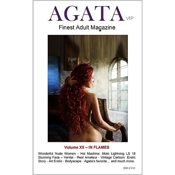 AGATA Vip: In Flames / Agata Vip Series Bd.20, Bravo Digital Editions