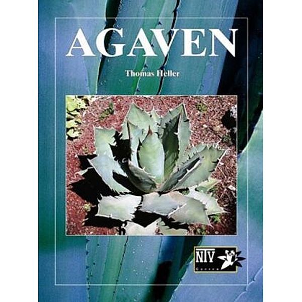 Agaven, Thomas Heller