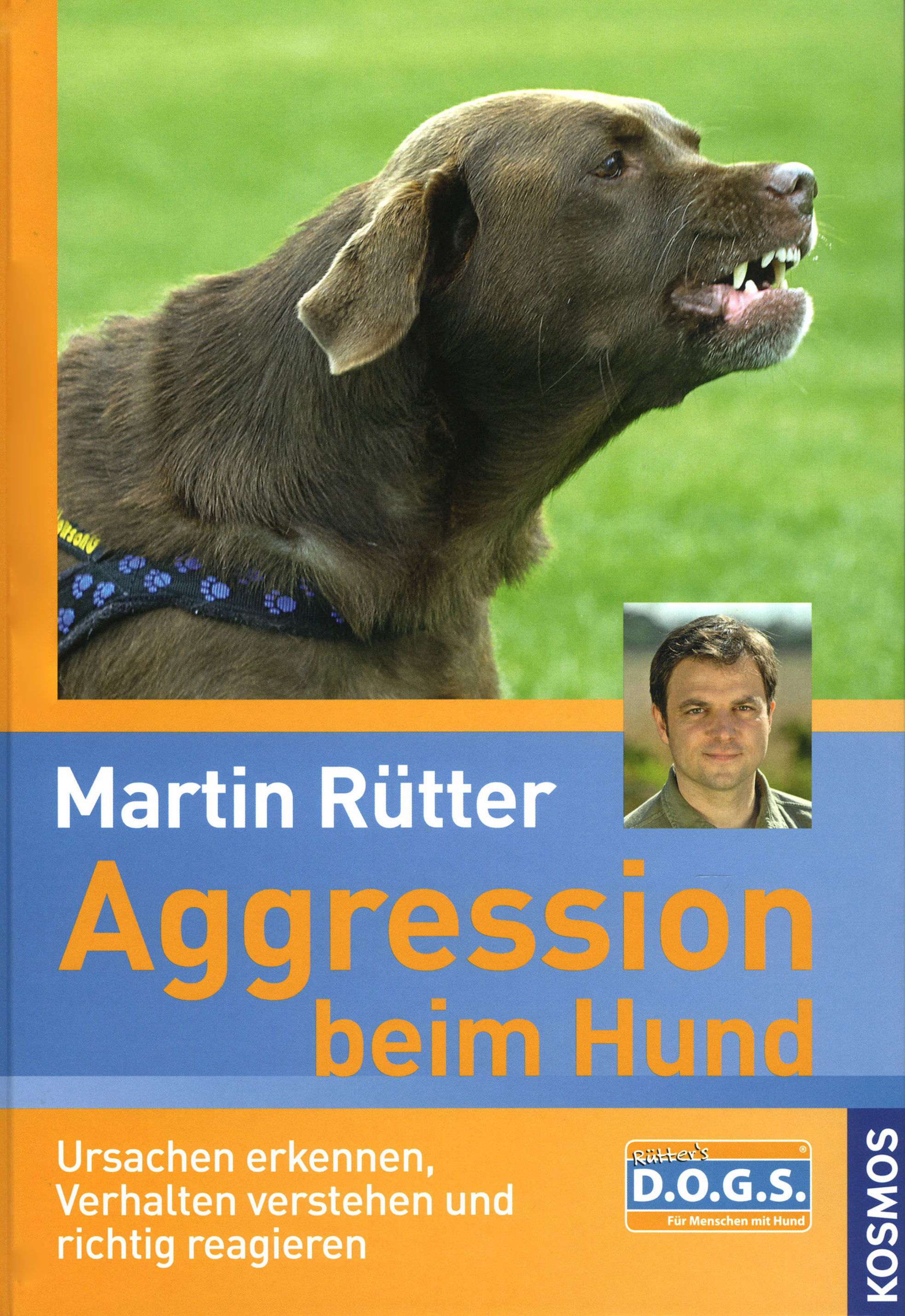 Aggression beim Hund Buch von Martin Rütter versandkostenfrei bestellen