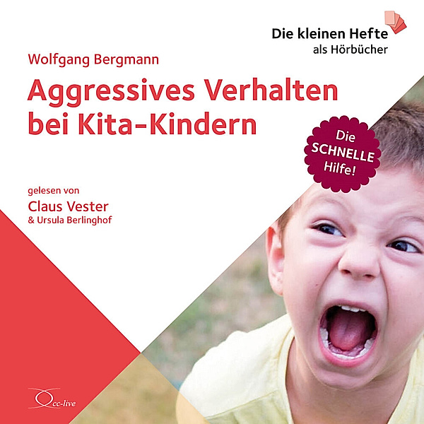 Aggressives Verhalten bei Kita-Kindern,Audio-CD, Wolfgang Bergmann