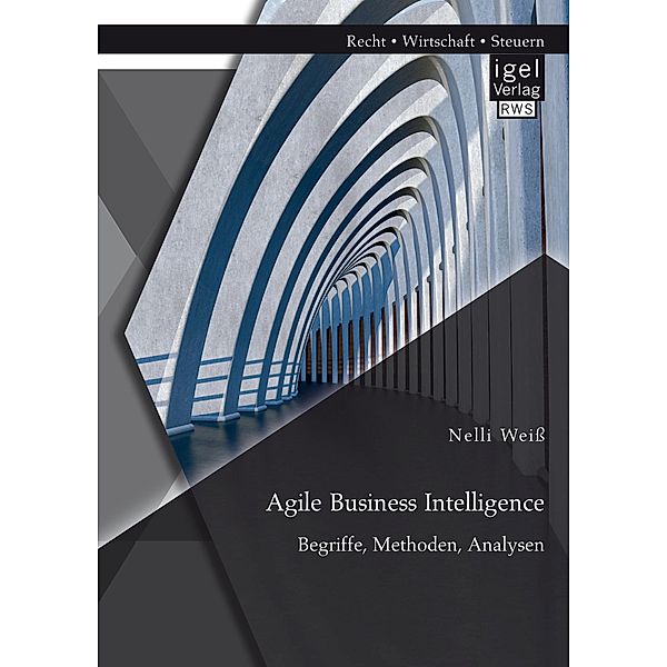Agile Business Intelligence. Begriffe, Methoden, Analysen, Nelli Weiss