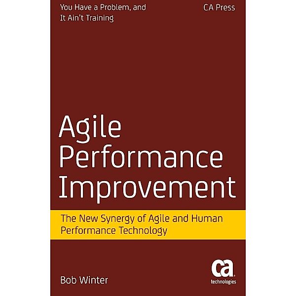 Agile Performance Improvement, Robert Winter