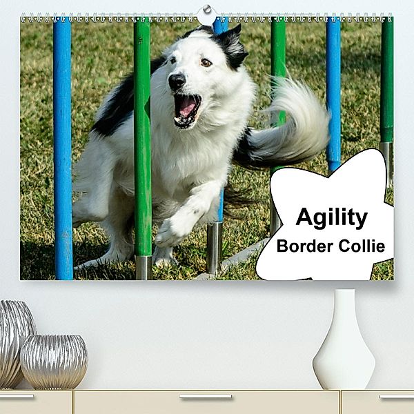 Agility Border Collie (Premium, hochwertiger DIN A2 Wandkalender 2020, Kunstdruck in Hochglanz)