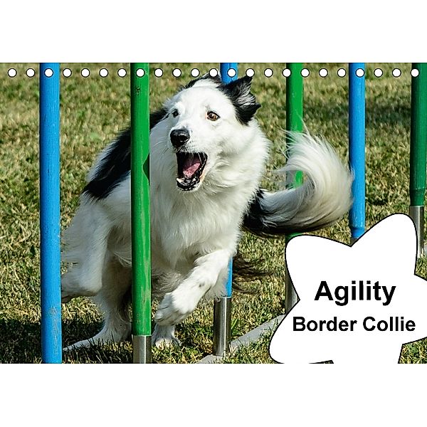 Agility Border Collie (Tischkalender 2018 DIN A5 quer), homwico