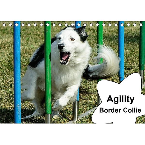 Agility Border Collie (Tischkalender 2021 DIN A5 quer), Homwico