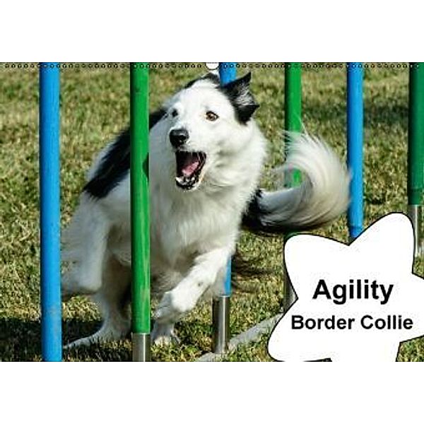 Agility Border Collie (Wandkalender 2016 DIN A2 quer), homwico