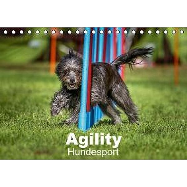 Agility Hundesport (Tischkalender 2016 DIN A5 quer), Jörg Teckentrup