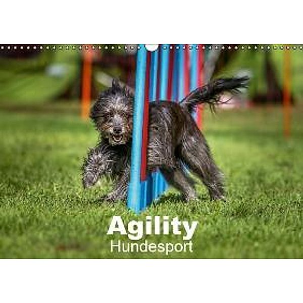 Agility Hundesport (Wandkalender 2016 DIN A3 quer), Jörg Teckentrup