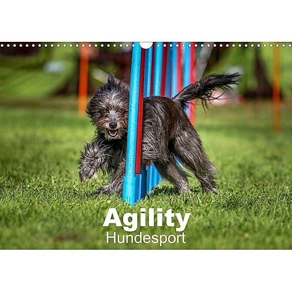 Agility Hundesport (Wandkalender 2023 DIN A3 quer), Jörg Teckentrup